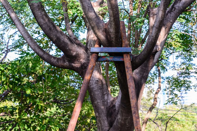 Support Hardware on Trees