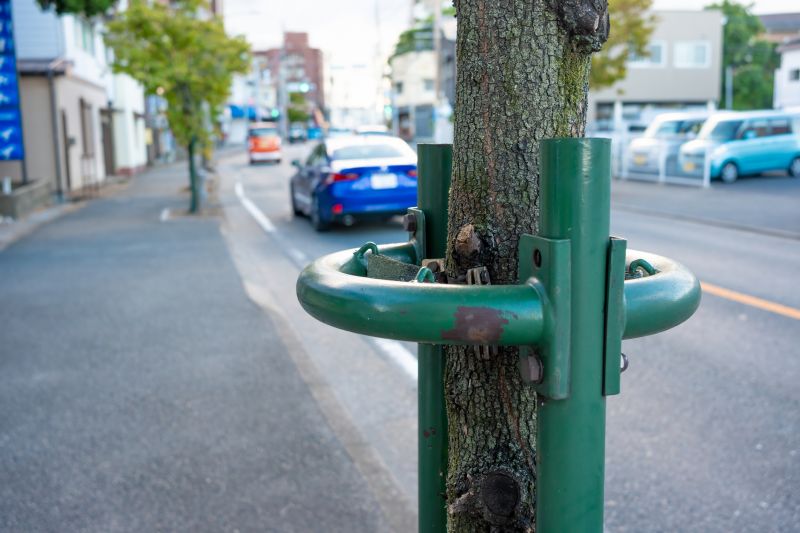 Extends tree life span